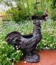 19 inch Rooster Planter