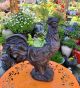 19 inch ROOSTER PLANTER